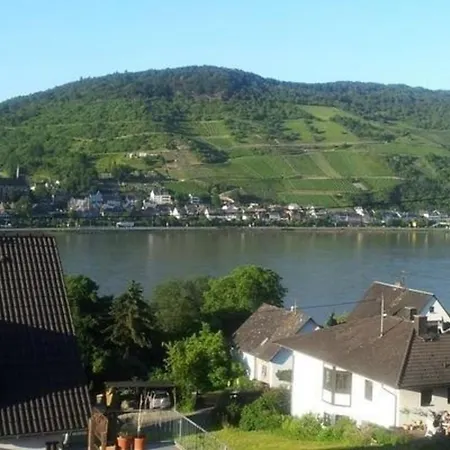 Gemutliche Ferienwohnung In Rheindiebach Mit Grill Und Terrasse Daire