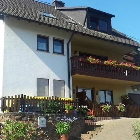 Gemutliche Ferienwohnung In Rheindiebach Mit Grill Und Terrasse Daire *