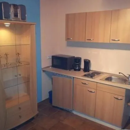 Gemutliche Ferienwohnung In Rheindiebach Mit Grill Und Terrasse Daire